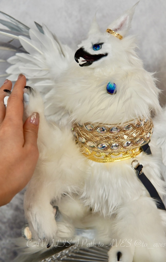 スノーヒッポグリフ