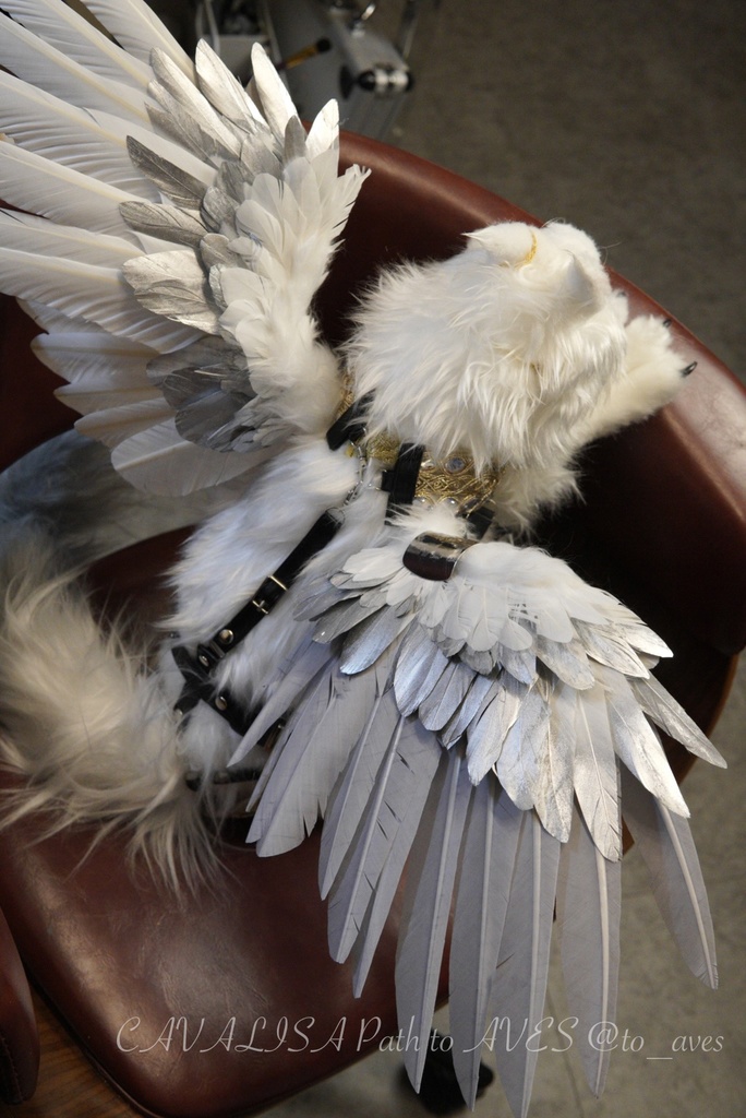 スノーヒッポグリフ