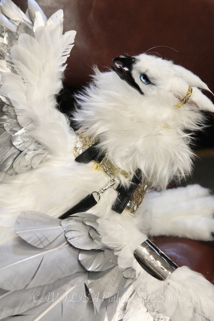 スノーヒッポグリフ