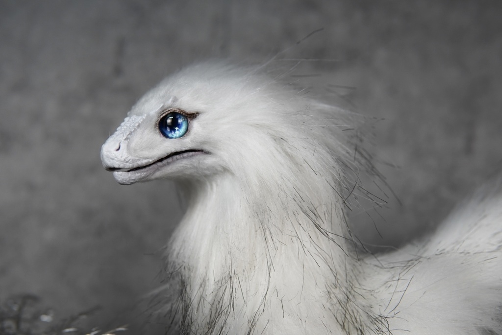 【H様専用 ~3/10お取り置き】ナヌークサウルス