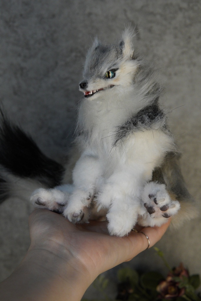 Wolf( D )