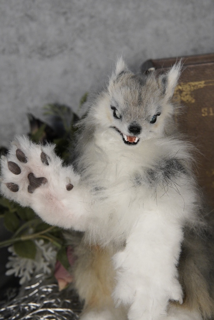 Wolf( D )