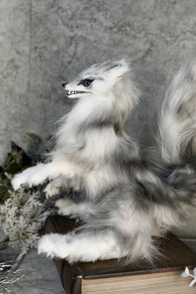 Wolf (B)