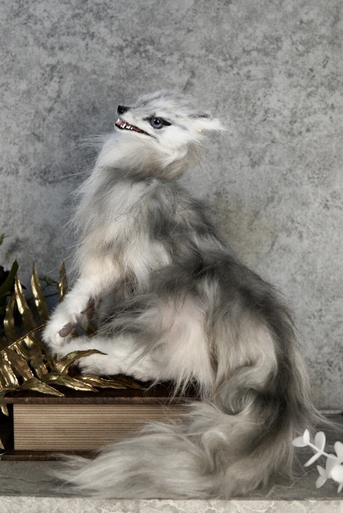 Wolf (B)