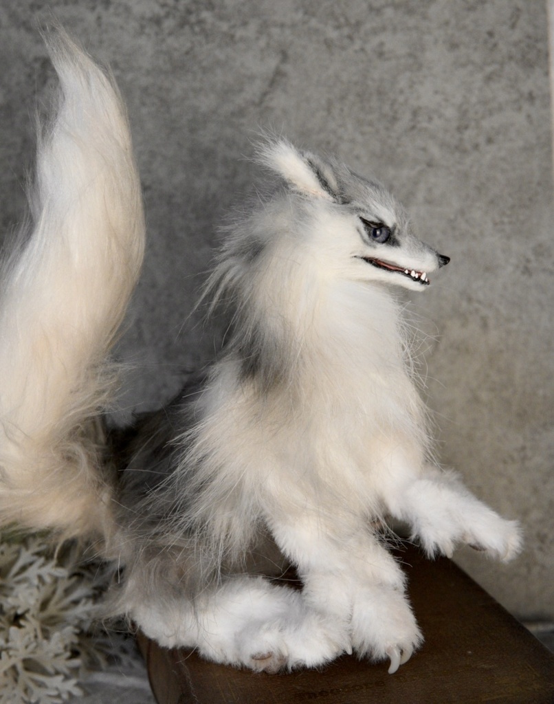 Wolf (B)