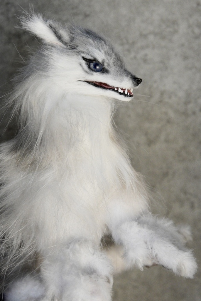 Wolf (B)