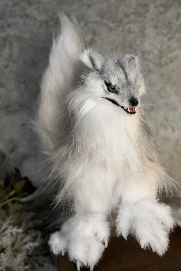Wolf (B)