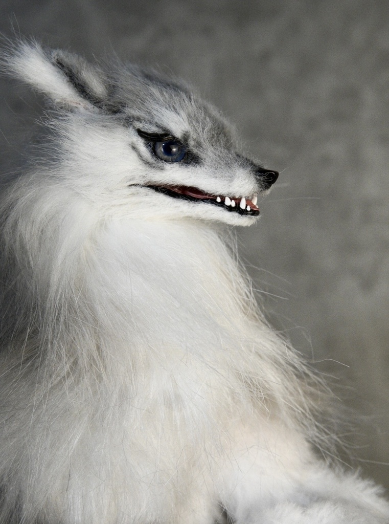 Wolf (B)