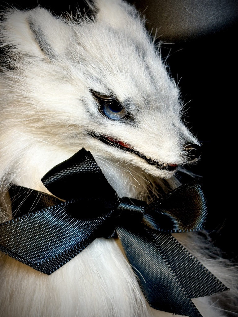 Wolf (B)
