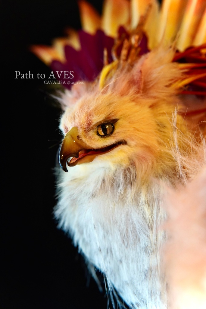 Pheonix Griffin