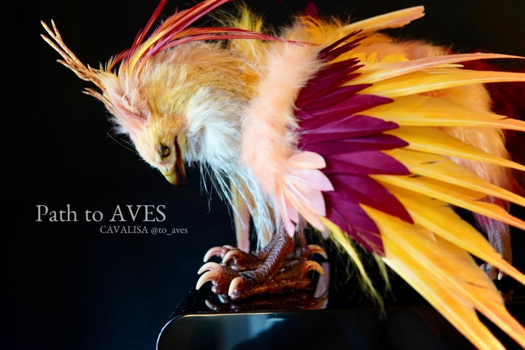 Pheonix Griffin