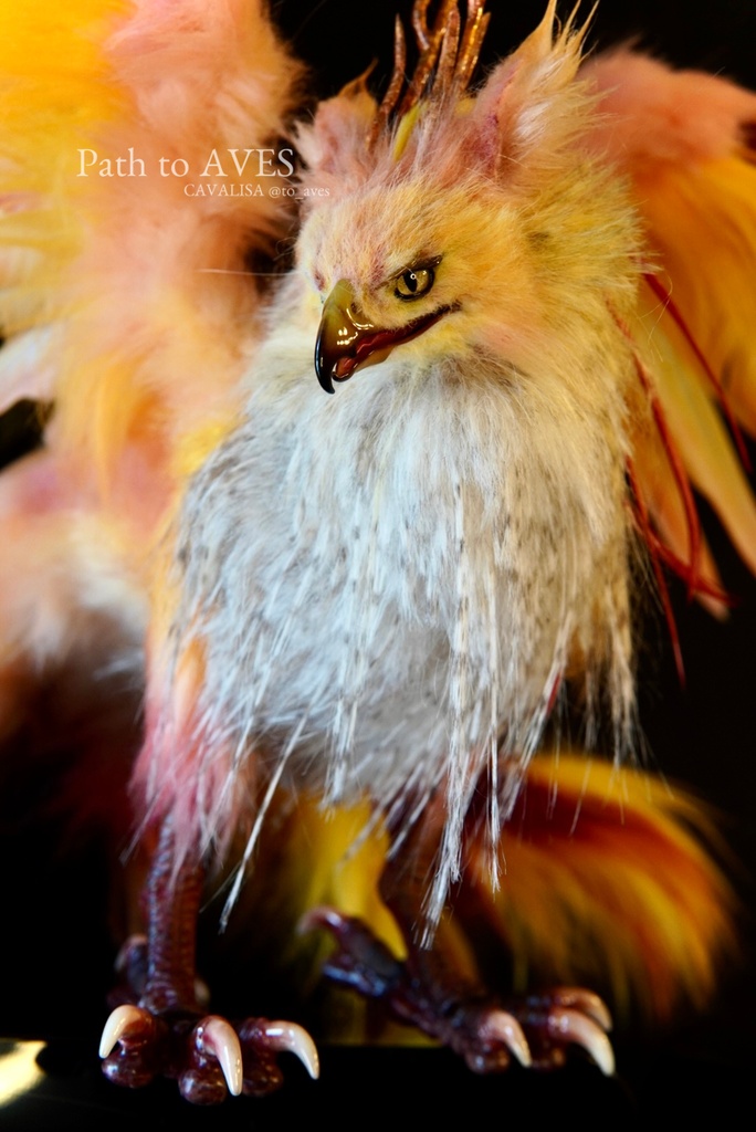 Pheonix Griffin