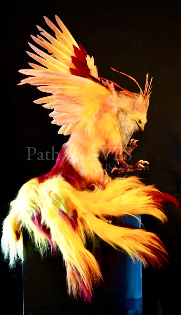 Pheonix Griffin
