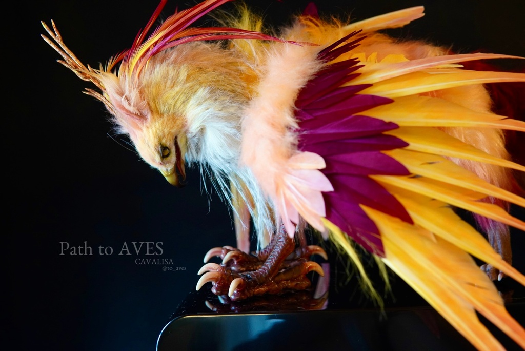 Pheonix Griffin