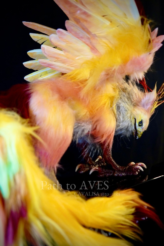 Pheonix Griffin