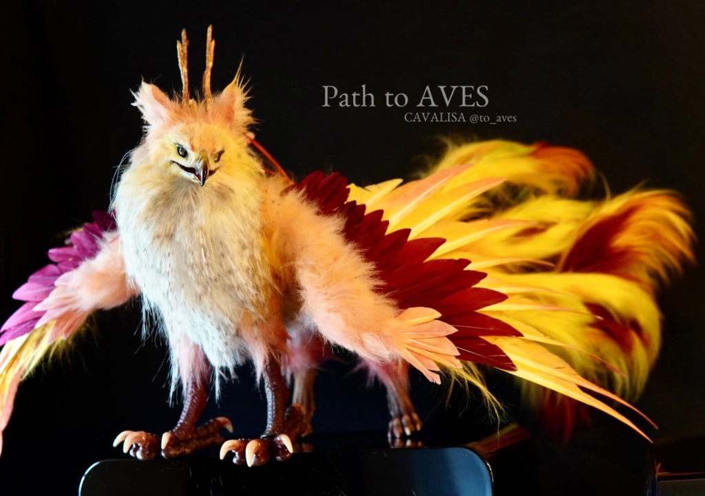 Pheonix Griffin