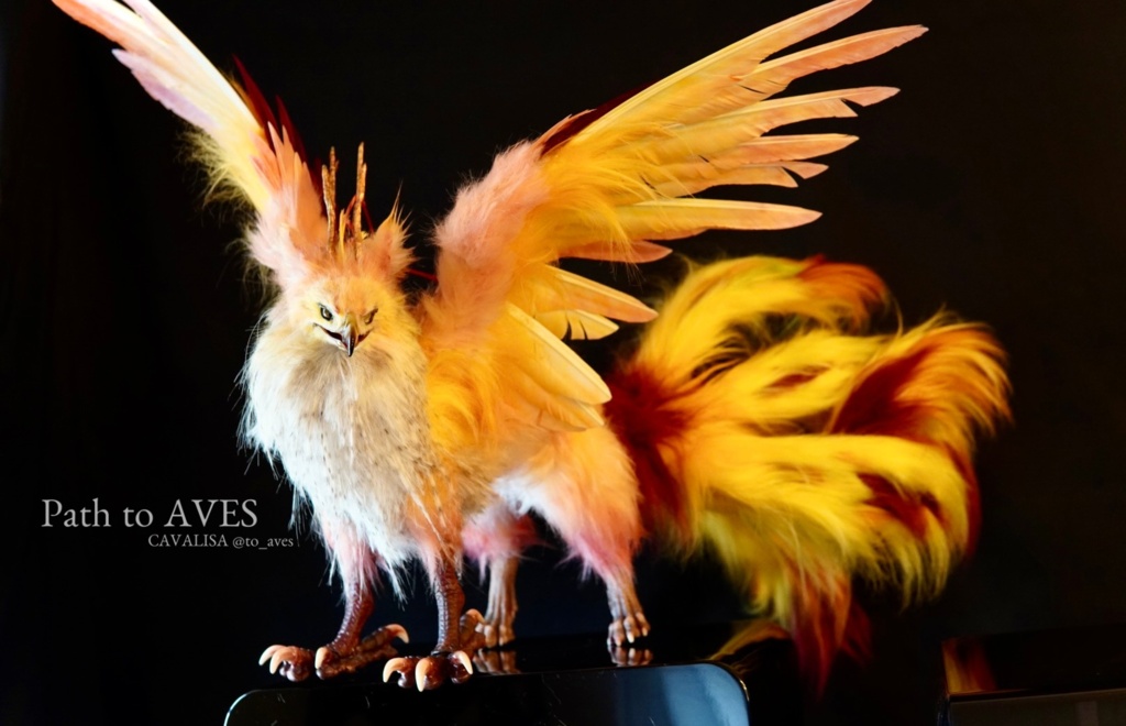 Pheonix Griffin