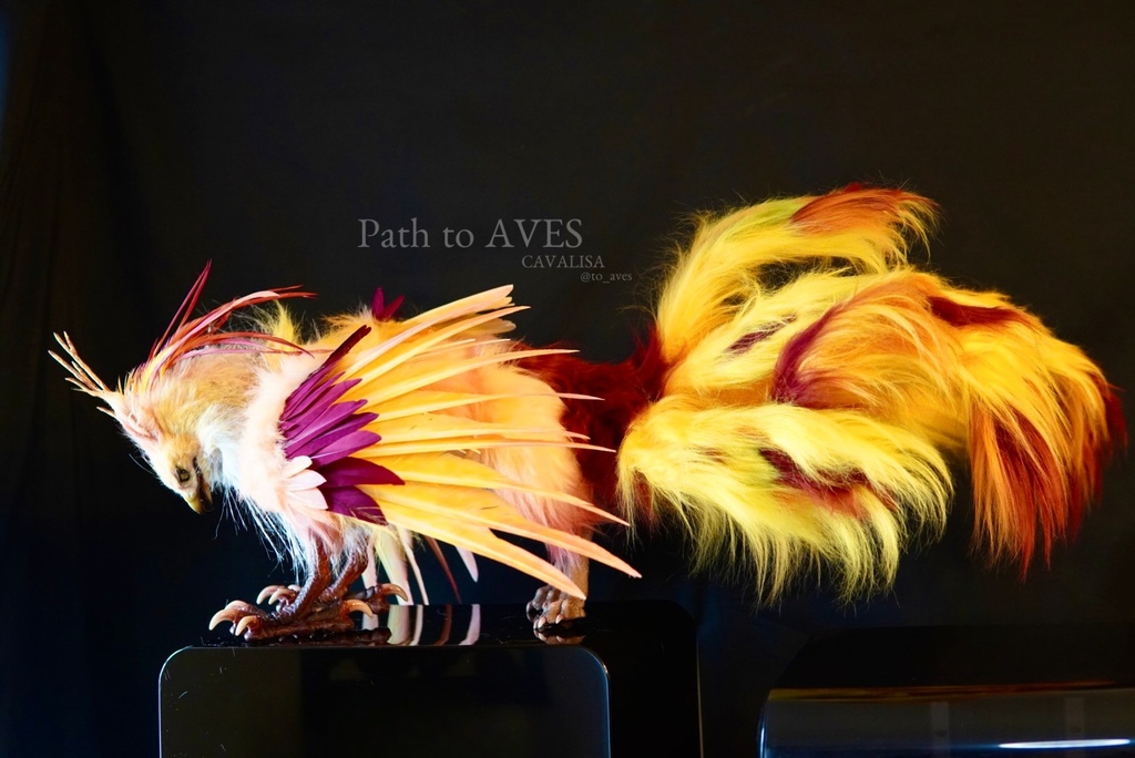Pheonix Griffin