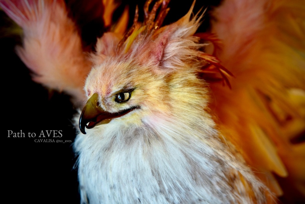 Pheonix Griffin