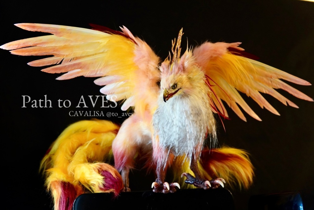 Pheonix Griffin