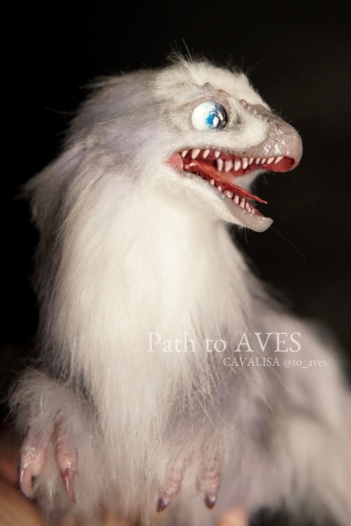 Nanuqsaurus