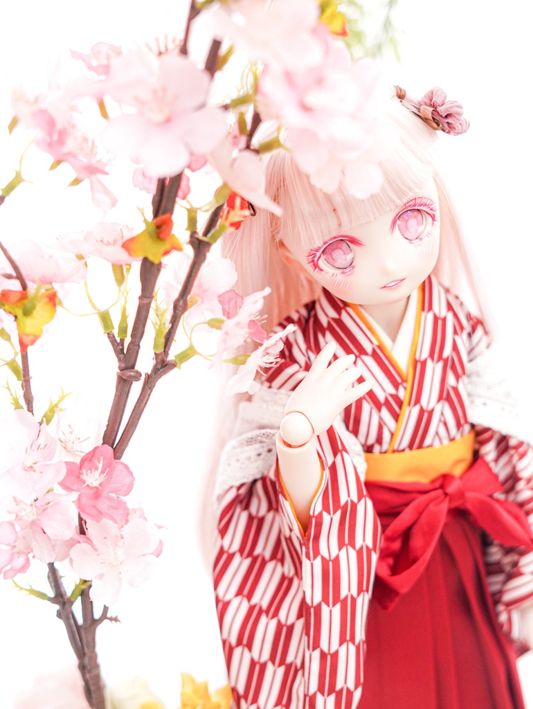 DDH-22 カスタムヘッド ソフビ盛り おまけアイ セミホワイト肌 やや難あり ドルフィードリーム