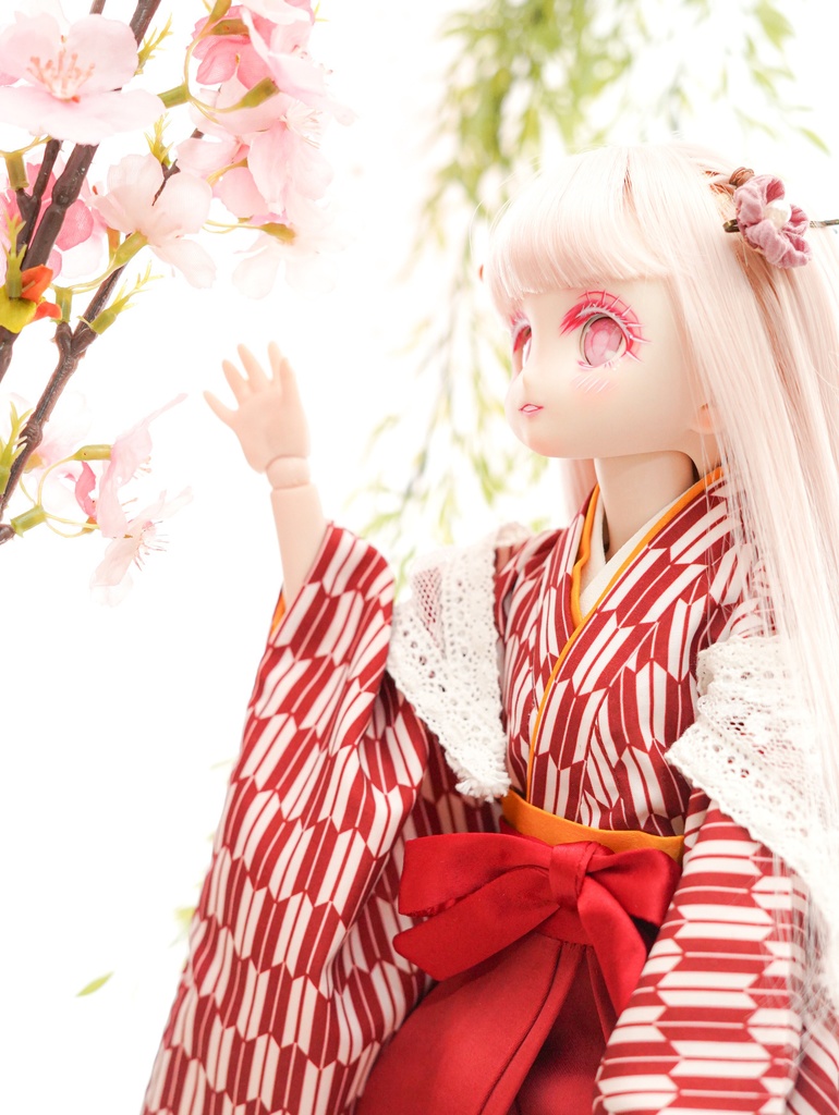 DDH-22 カスタムヘッド ソフビ盛り おまけアイ セミホワイト肌 やや難あり ドルフィードリーム