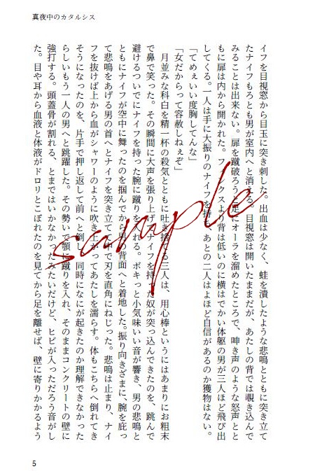 【頒布終了】空蝉メランコリック(上下巻セット)■匿名配送不可■送料込【HH夢】