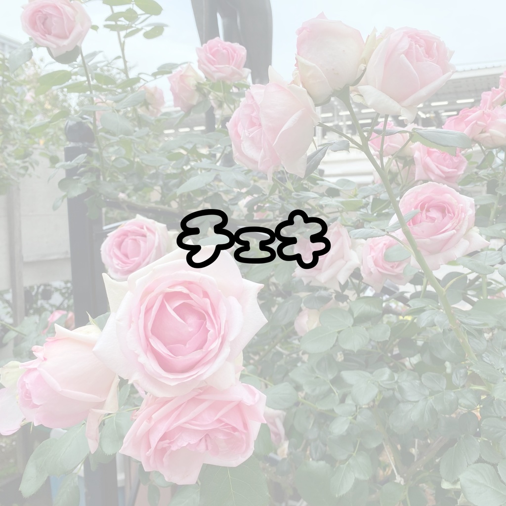 郵送チェキ