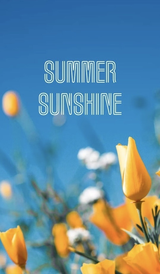 【夢小説】SUMMER SUNSHINE