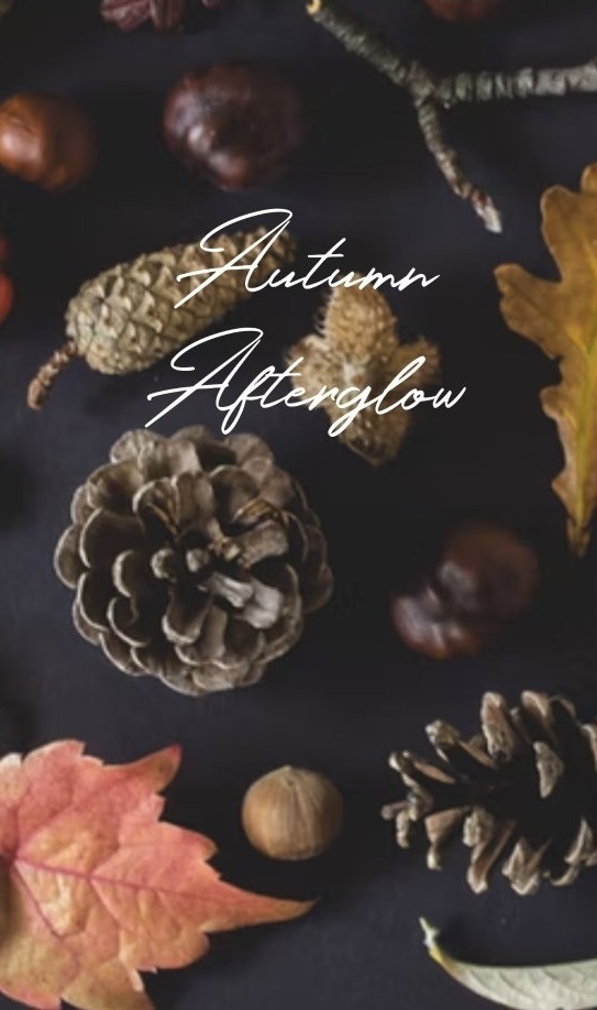 【夢小説】 Autumn  Afterglow