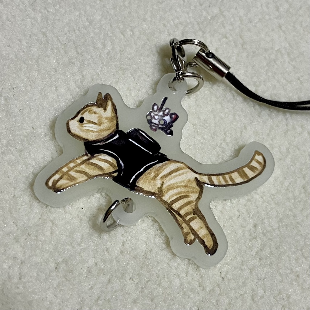 CAT&B-12 +α /アクキー