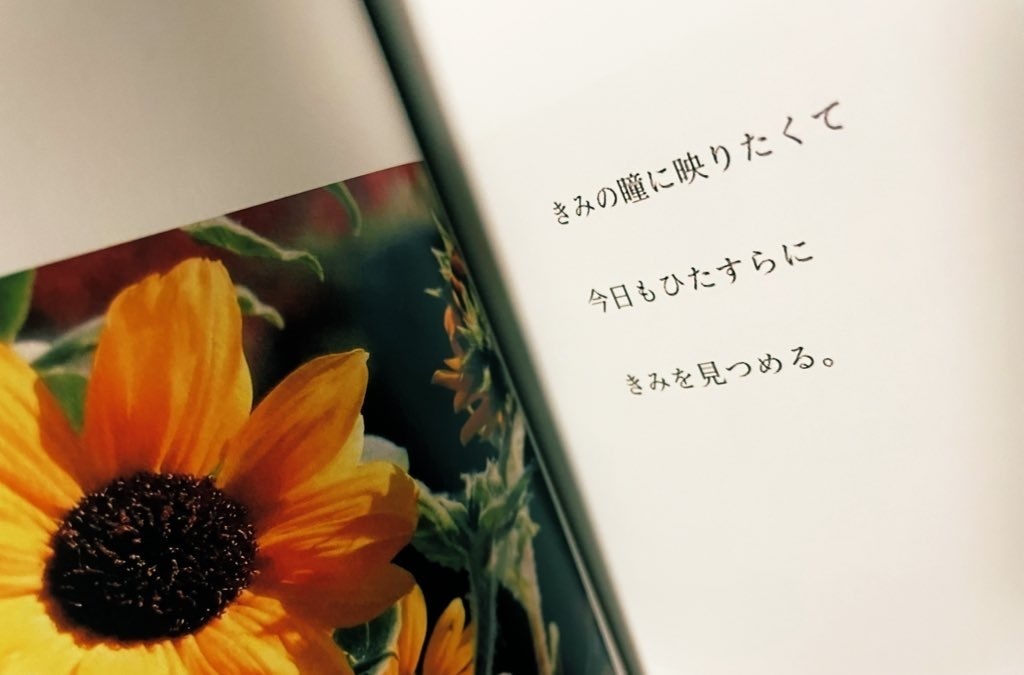 きみのうた(写真+詩集)