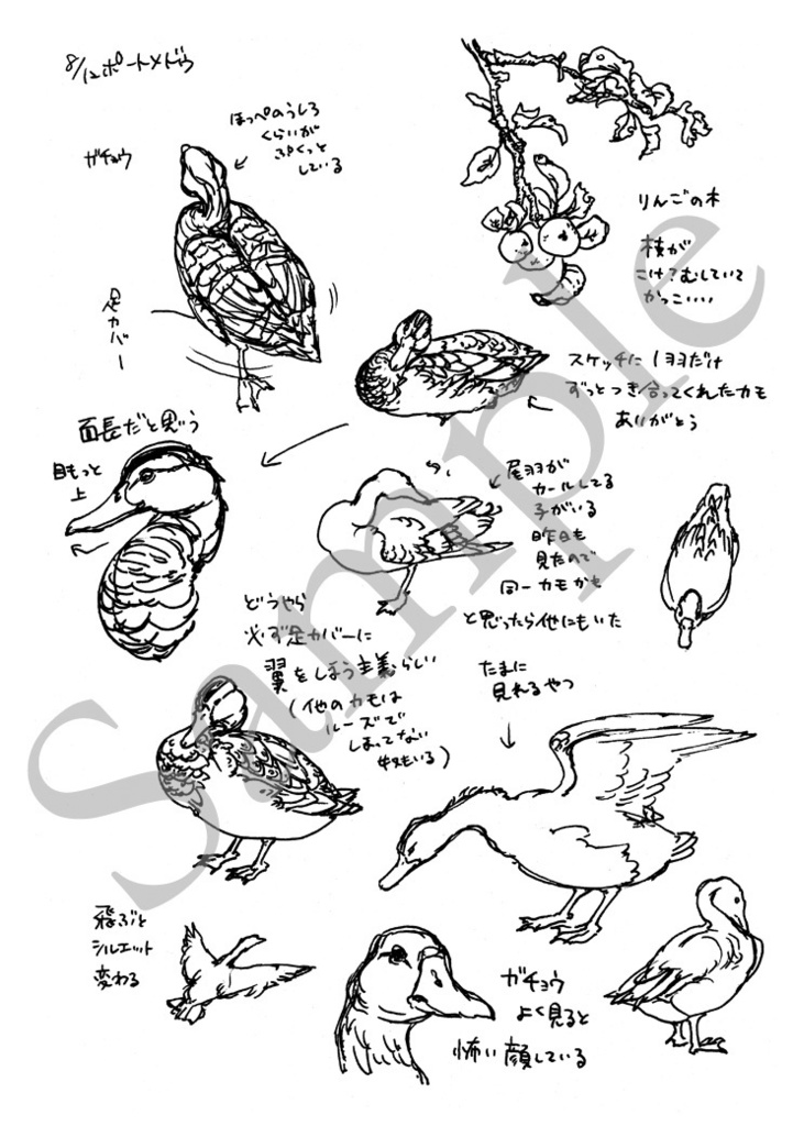 【頒布終了】Sketches in Oxford 2024