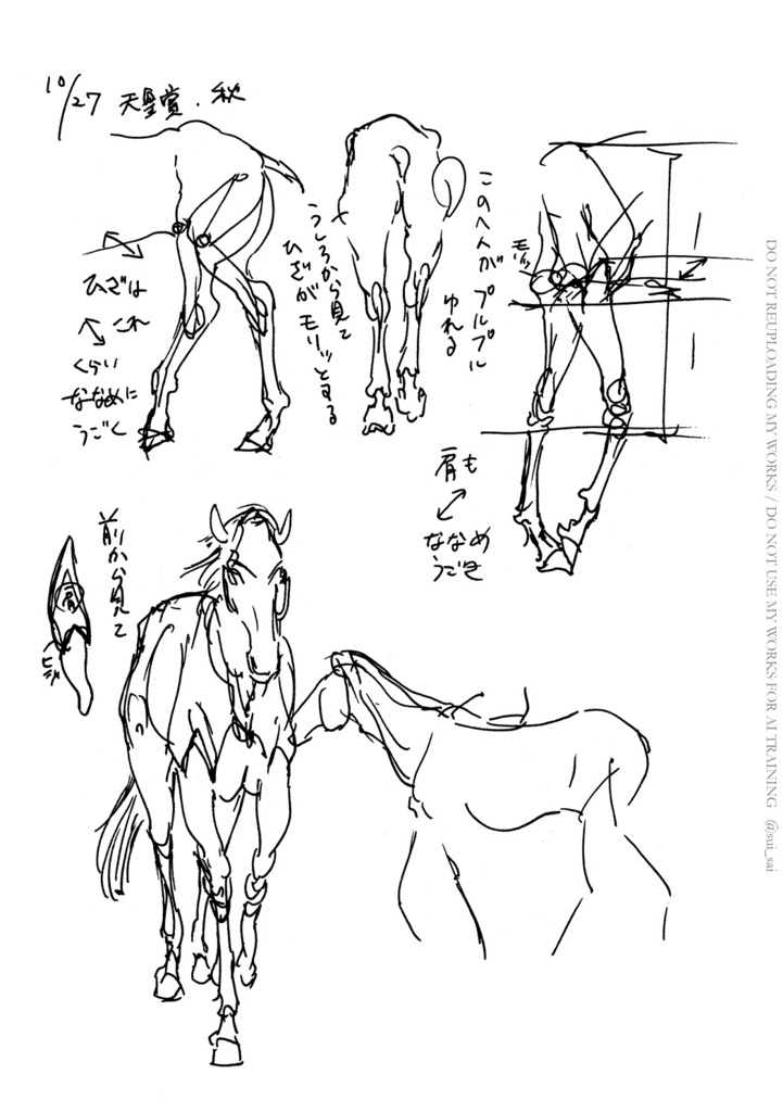 動物がうまく描けない