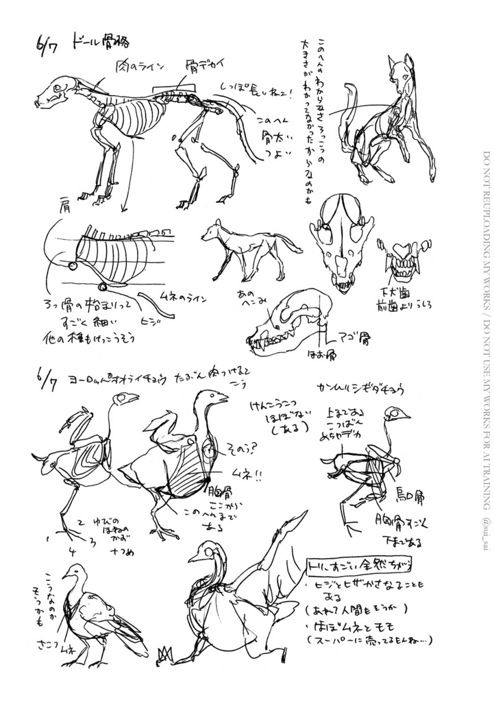 動物がうまく描けない