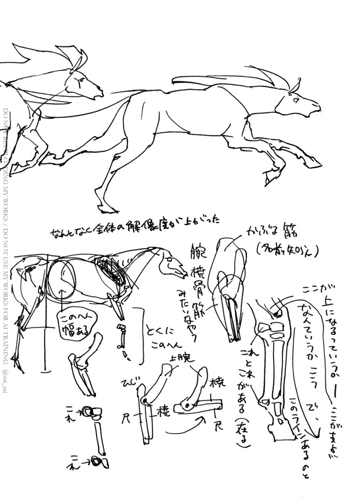 動物がうまく描けない