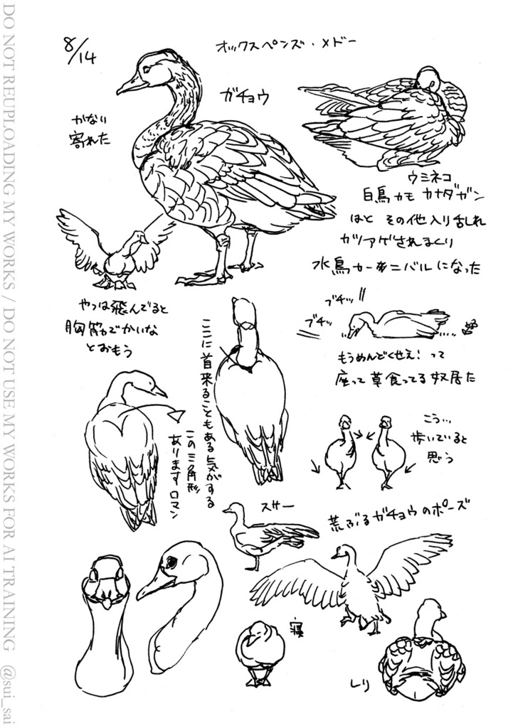 【11/24通販開始】Sketches in Oxford 2025