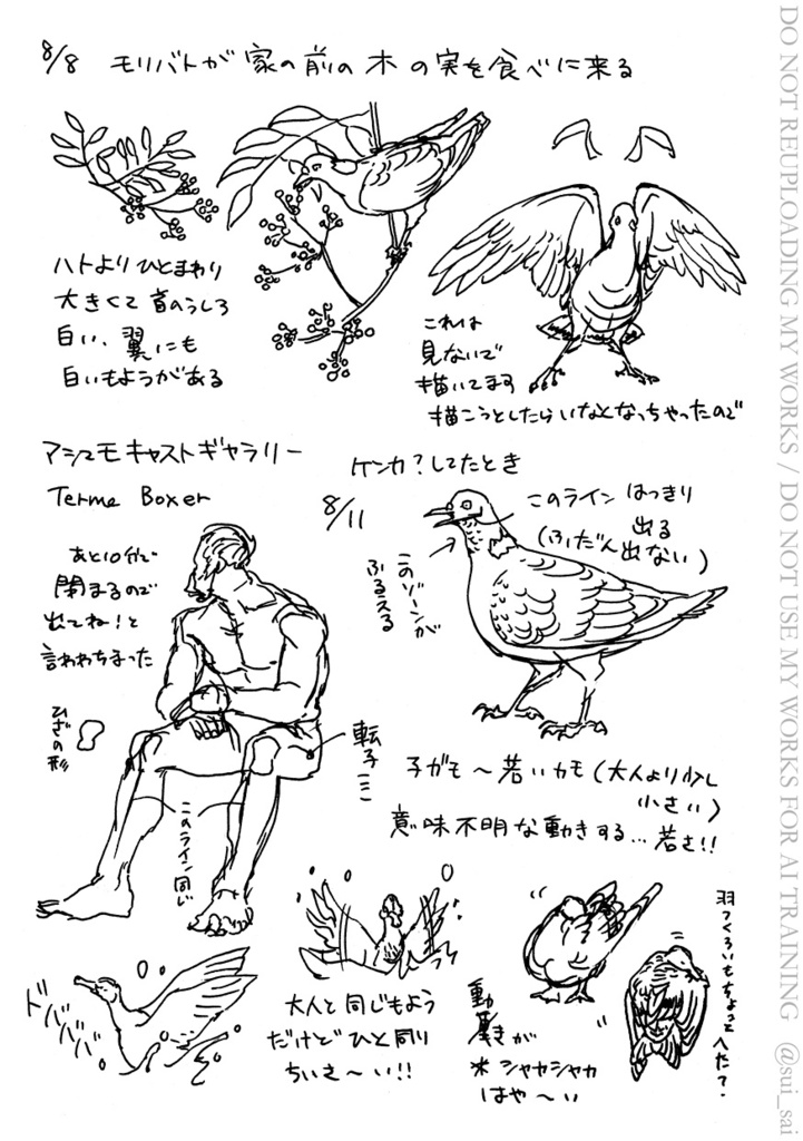 【11/24通販開始】Sketches in Oxford 2025