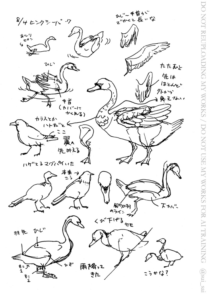 【11/24通販開始】Sketches in Oxford 2025