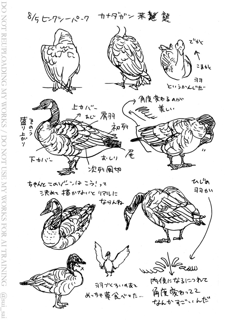 【11/24通販開始】Sketches in Oxford 2025