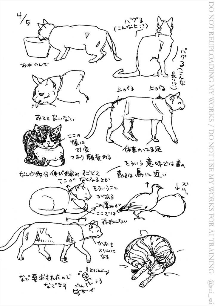 ねこ描き7days