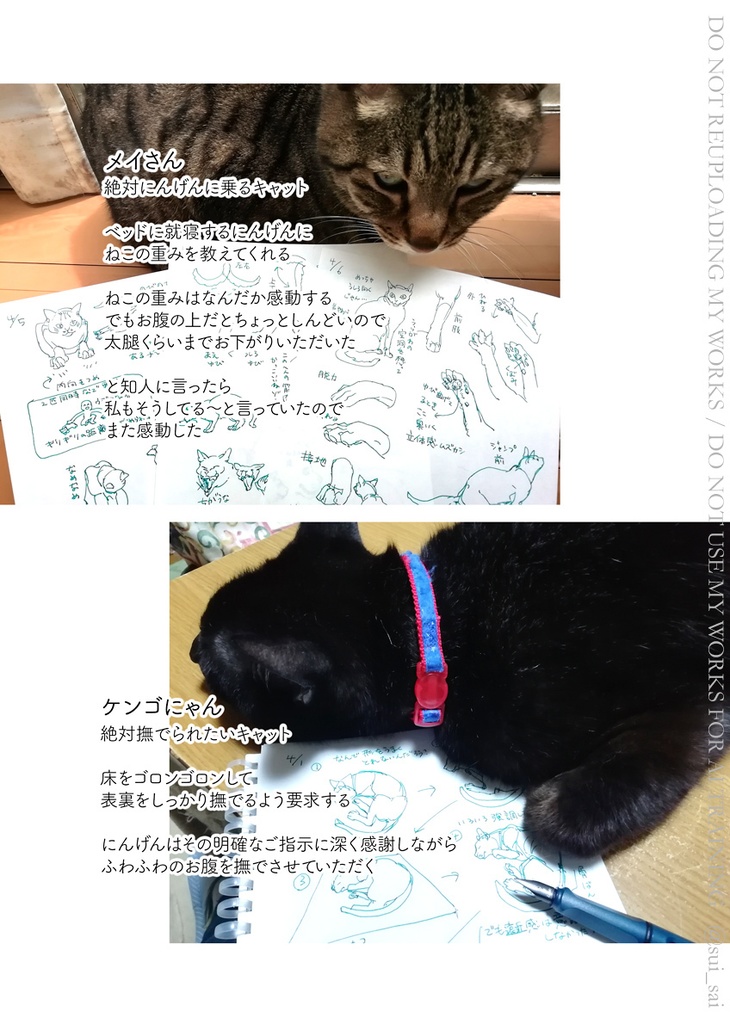 ねこ描き7days