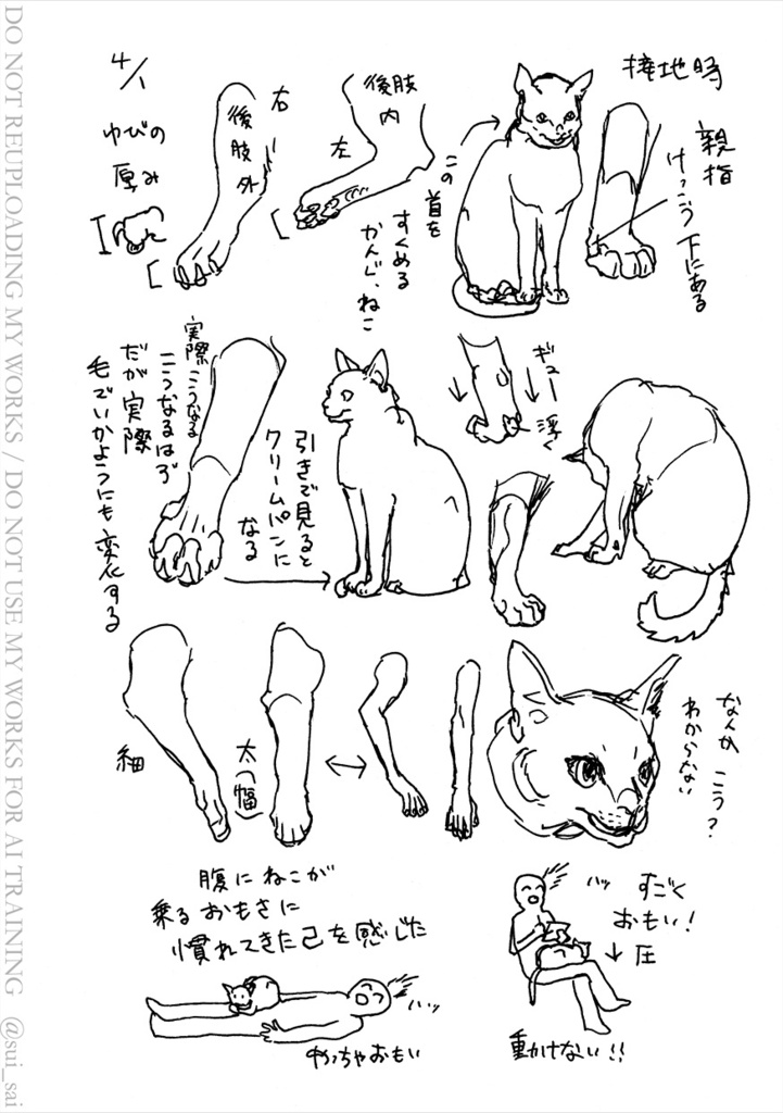 ねこ描き7days