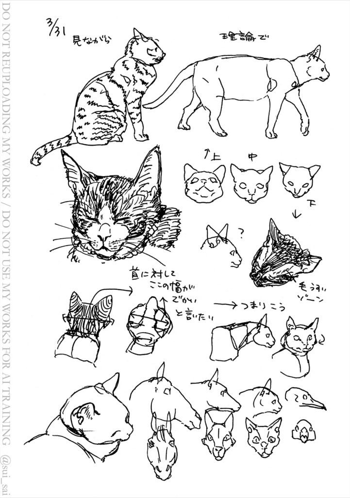 ねこ描き7days
