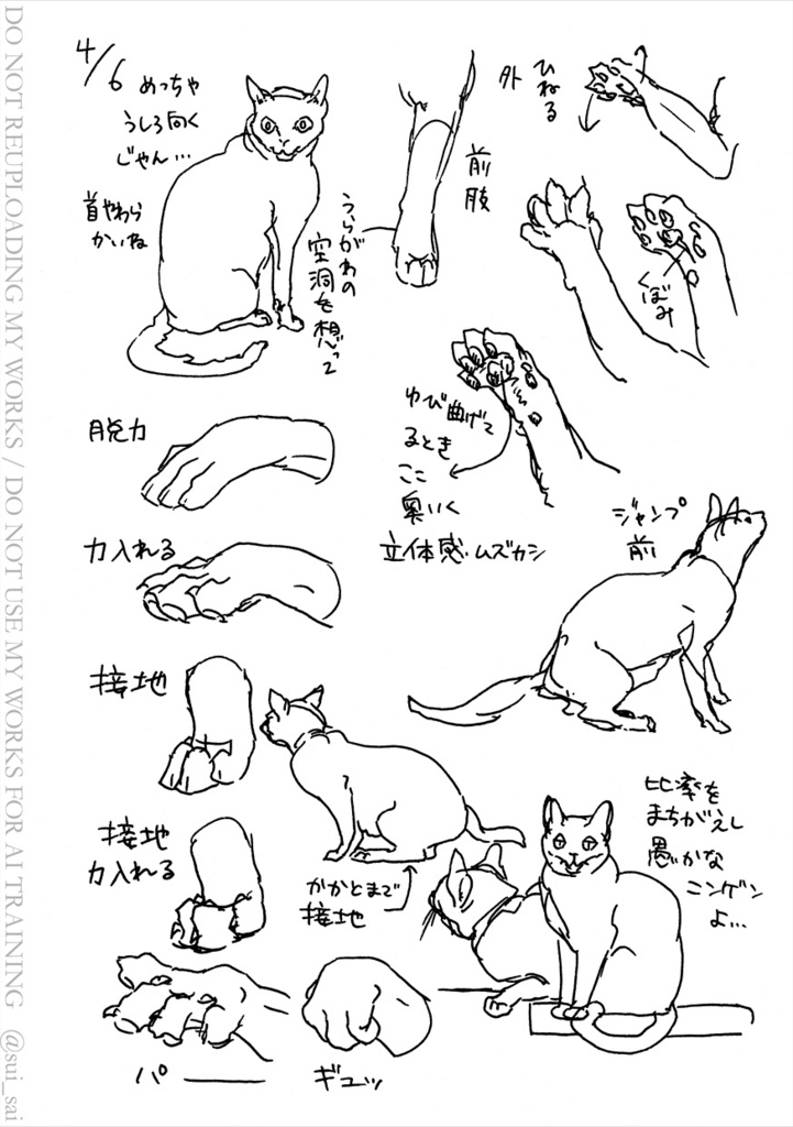 ねこ描き7days