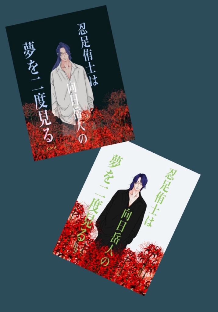 忍足侑士は向日岳人の夢を二度見るsideA/sideB セット