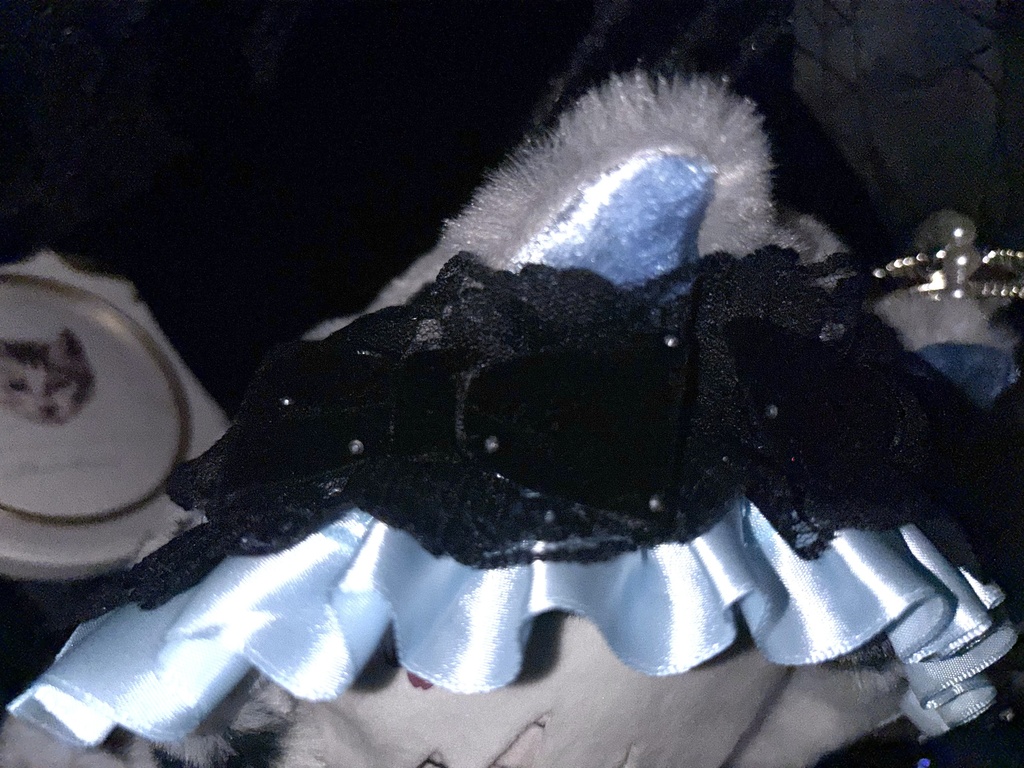 ℌ𝔞𝔩𝔩𝔬𝔴𝔢𝔢𝔫 𝔇𝔞𝔩𝔪𝔞𝔱𝔦𝔞𝔫25 🐾(みずいろ💎)