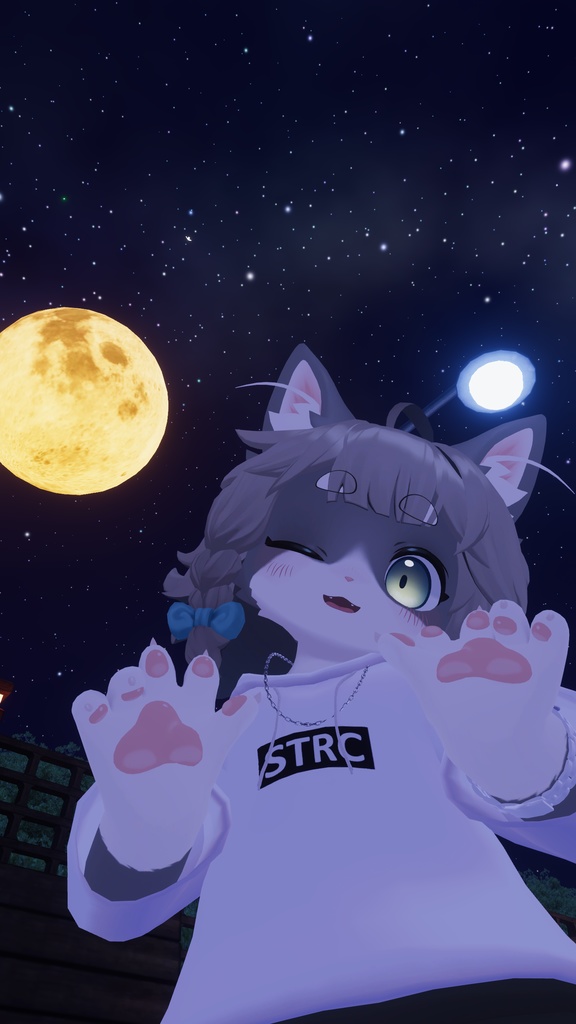 ストリートキャット【リオくん・リナちゃん用】