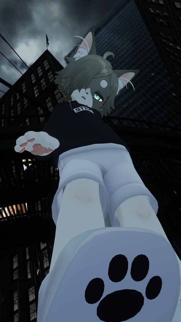 ストリートキャット【リオくん・リナちゃん用】